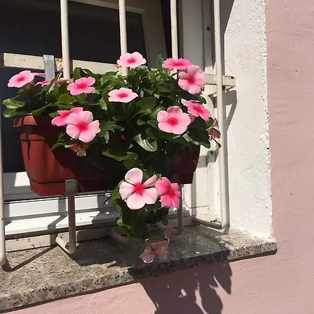 Apartman Hana *